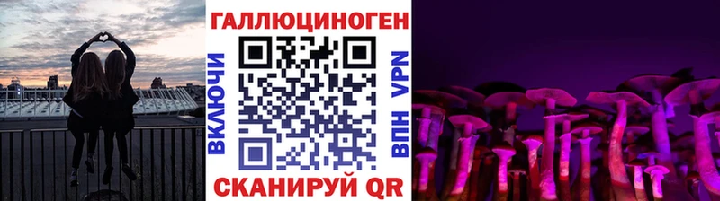 Галлюциногенные грибы Psilocybe  Купить закладки  Майский 
